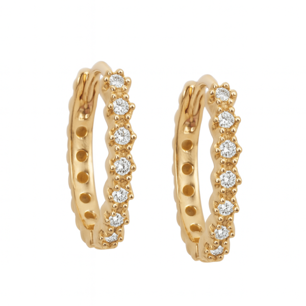 Argola Flor com Pedras